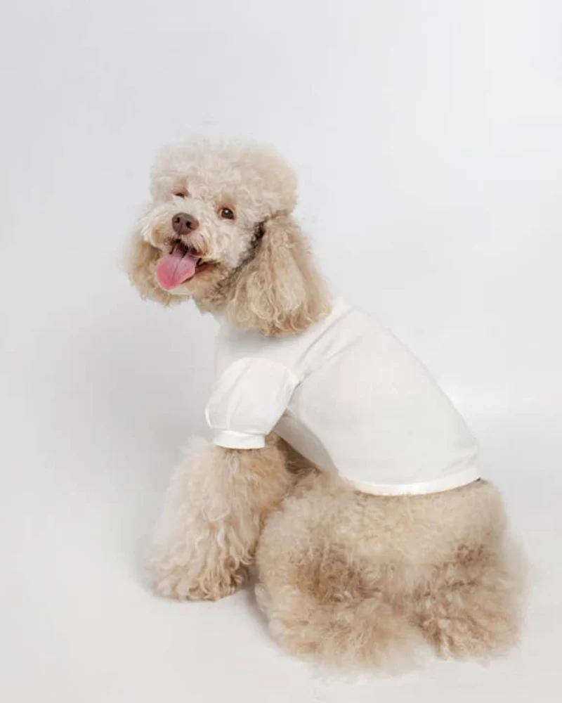 Soft Cotton Bubble Sleeve Dog Shirt (FINAL SALE) - Image 3