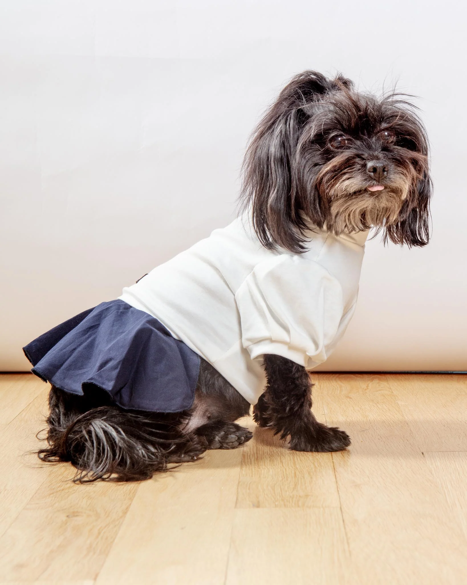 Soft Dog Dress in White & Navy (FINAL SALE) - Image 5