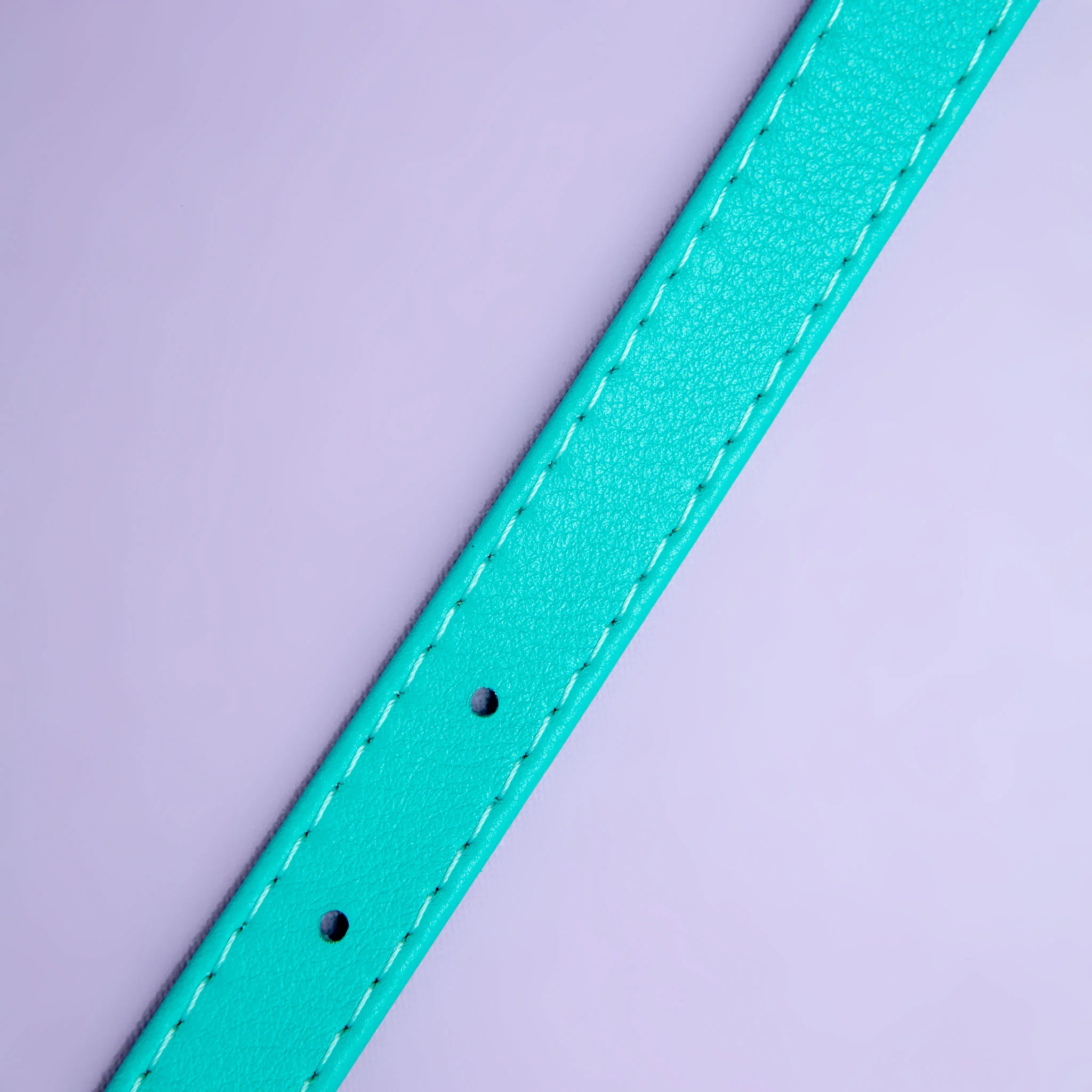 Spearmint Leather Dog Collar << CLEARANCE >> - Image 4