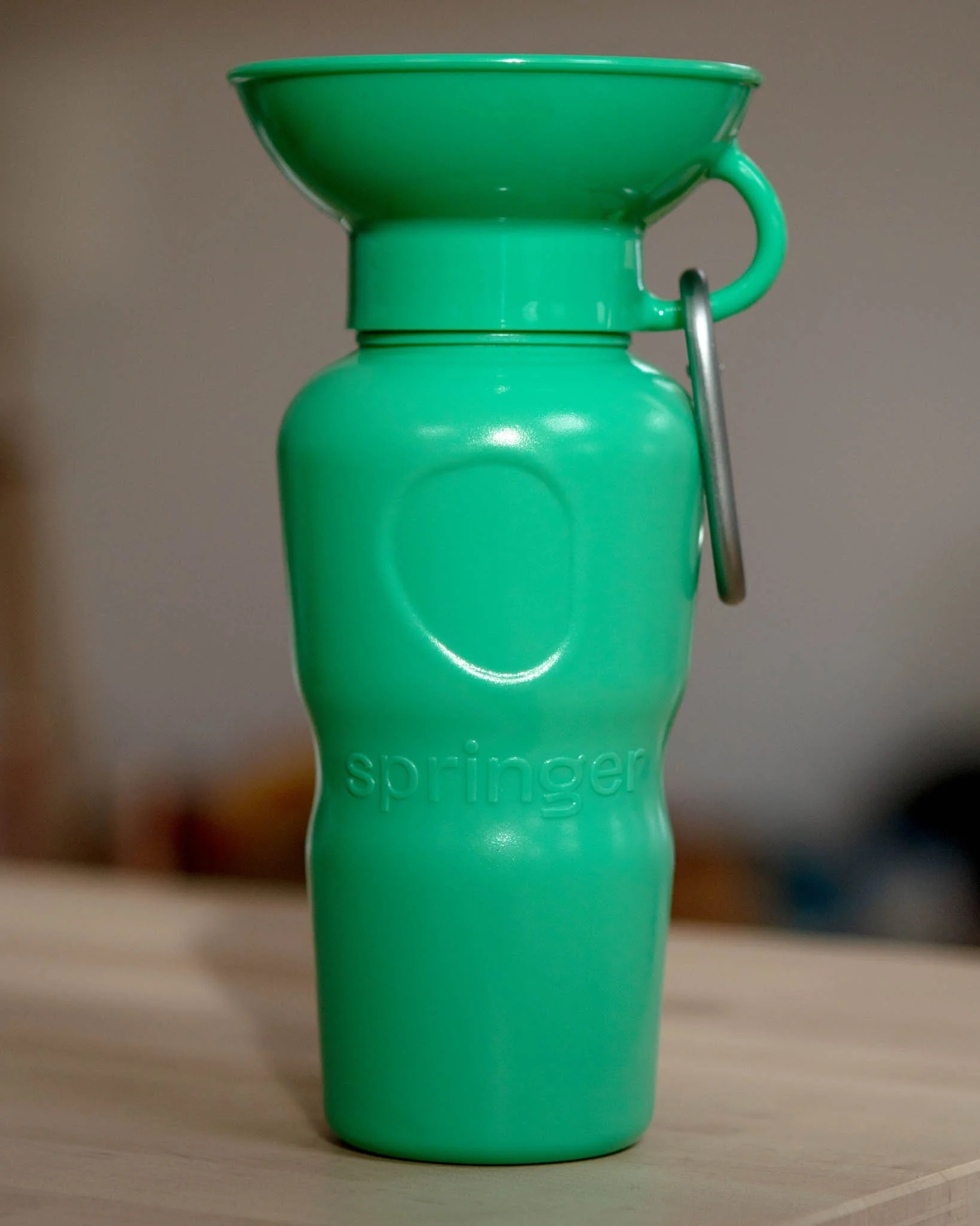 Dog Travel Water Bottle (FINAL SALE) - Image 11