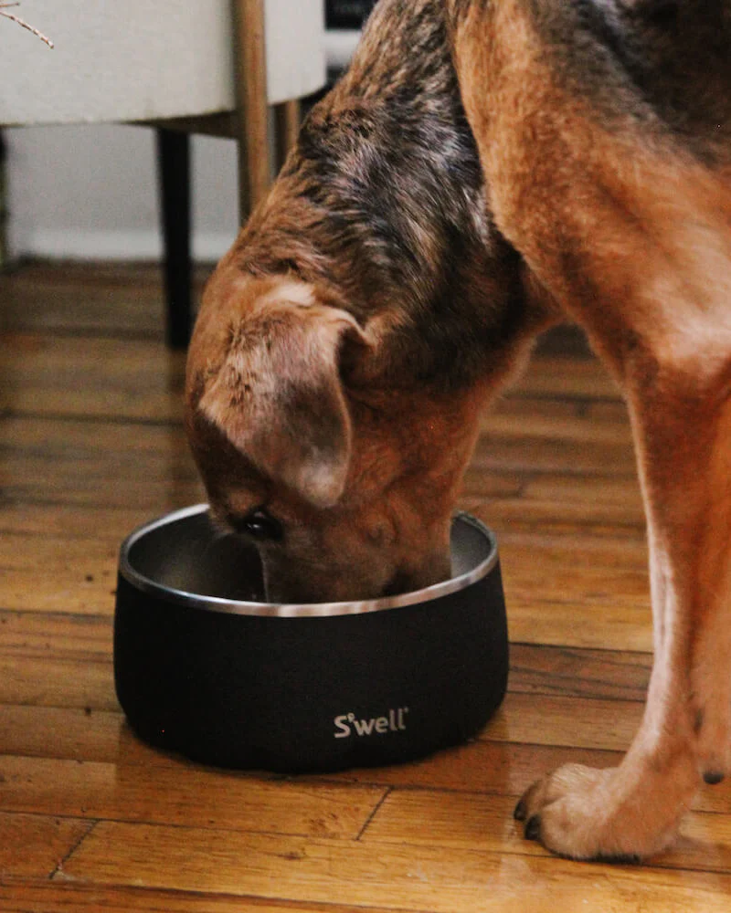 Stainless Steel Dog Bowl in Onyx - Image 6