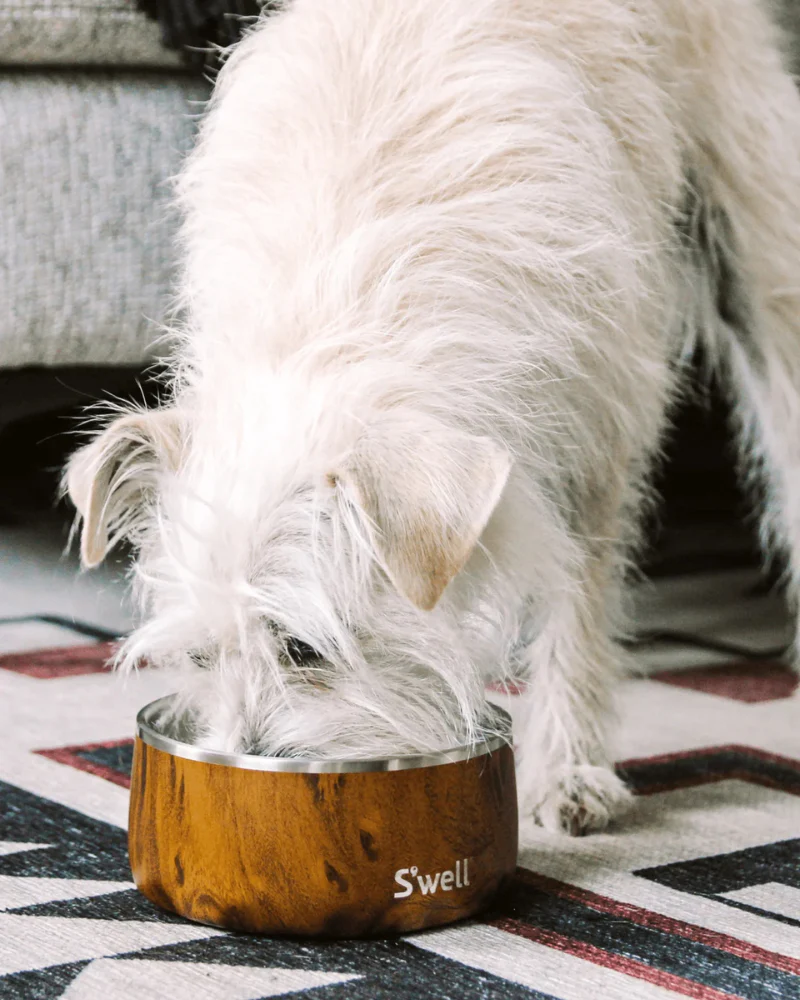 Stainless Steel Dog Bowl in Teakwood - Image 2