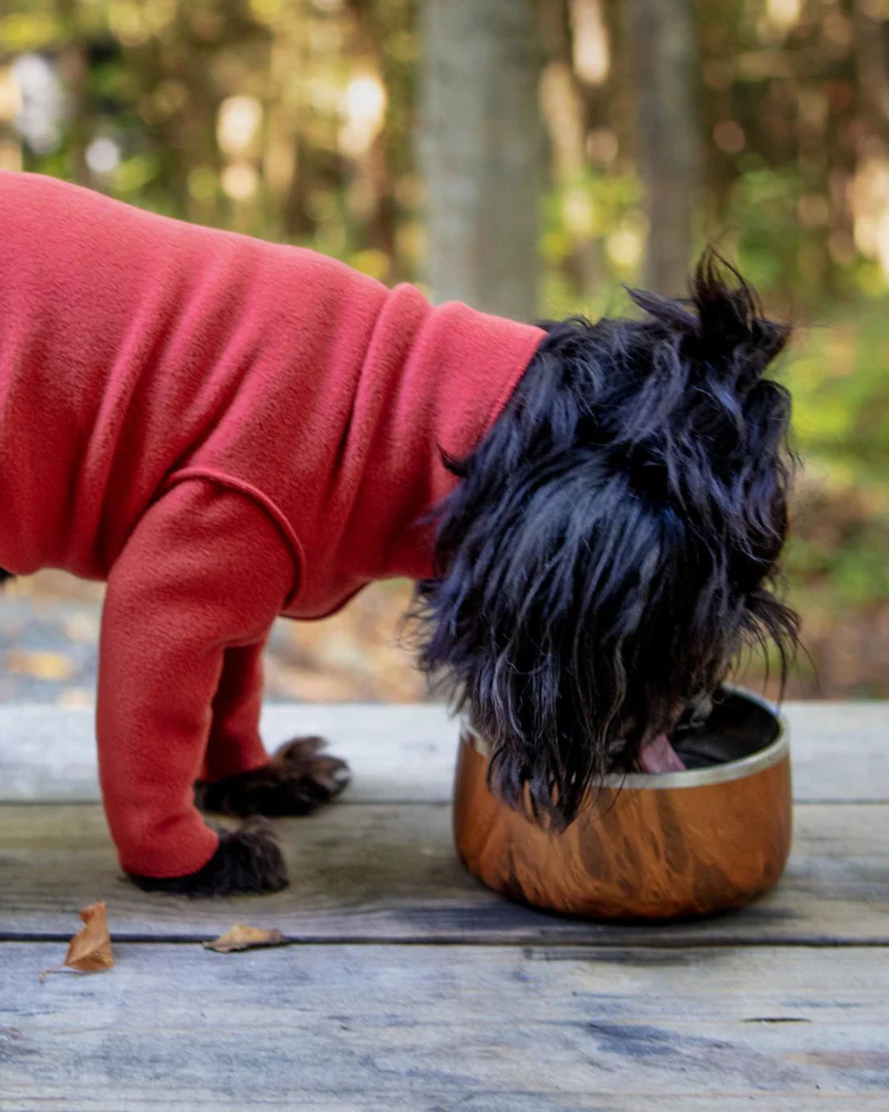 Stainless Steel Dog Bowl in Teakwood - Image 3