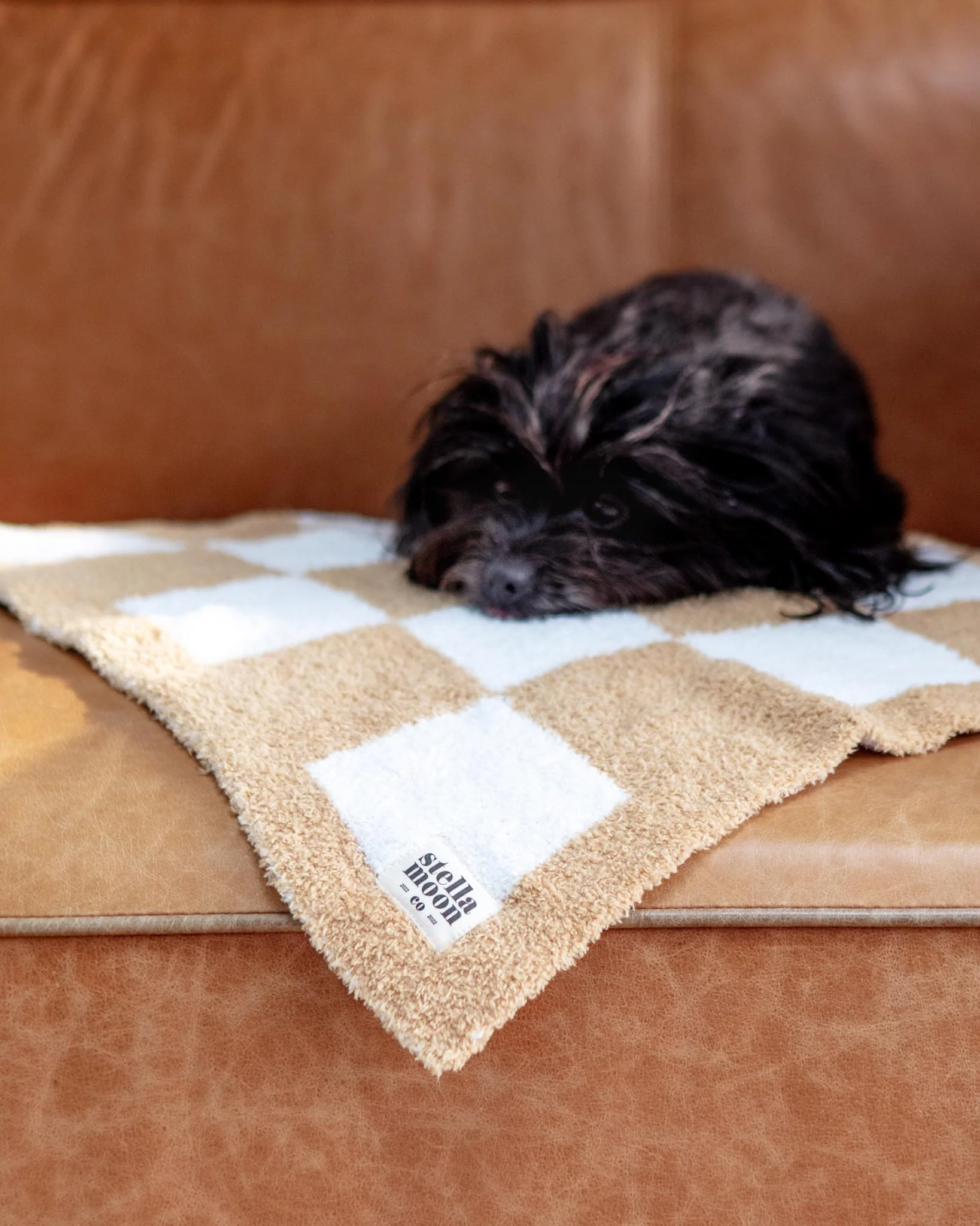 Luxe Check Dog Blanket in Sand - Image 3