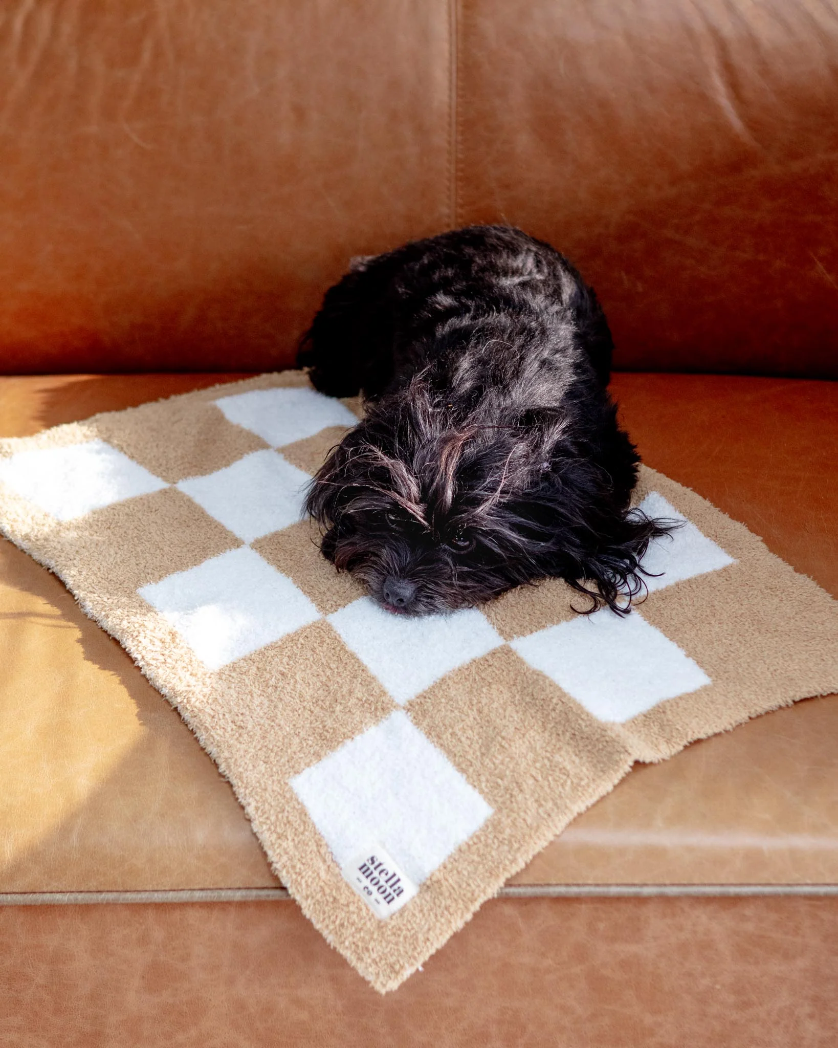 Luxe Check Dog Blanket in Sand - Image 6