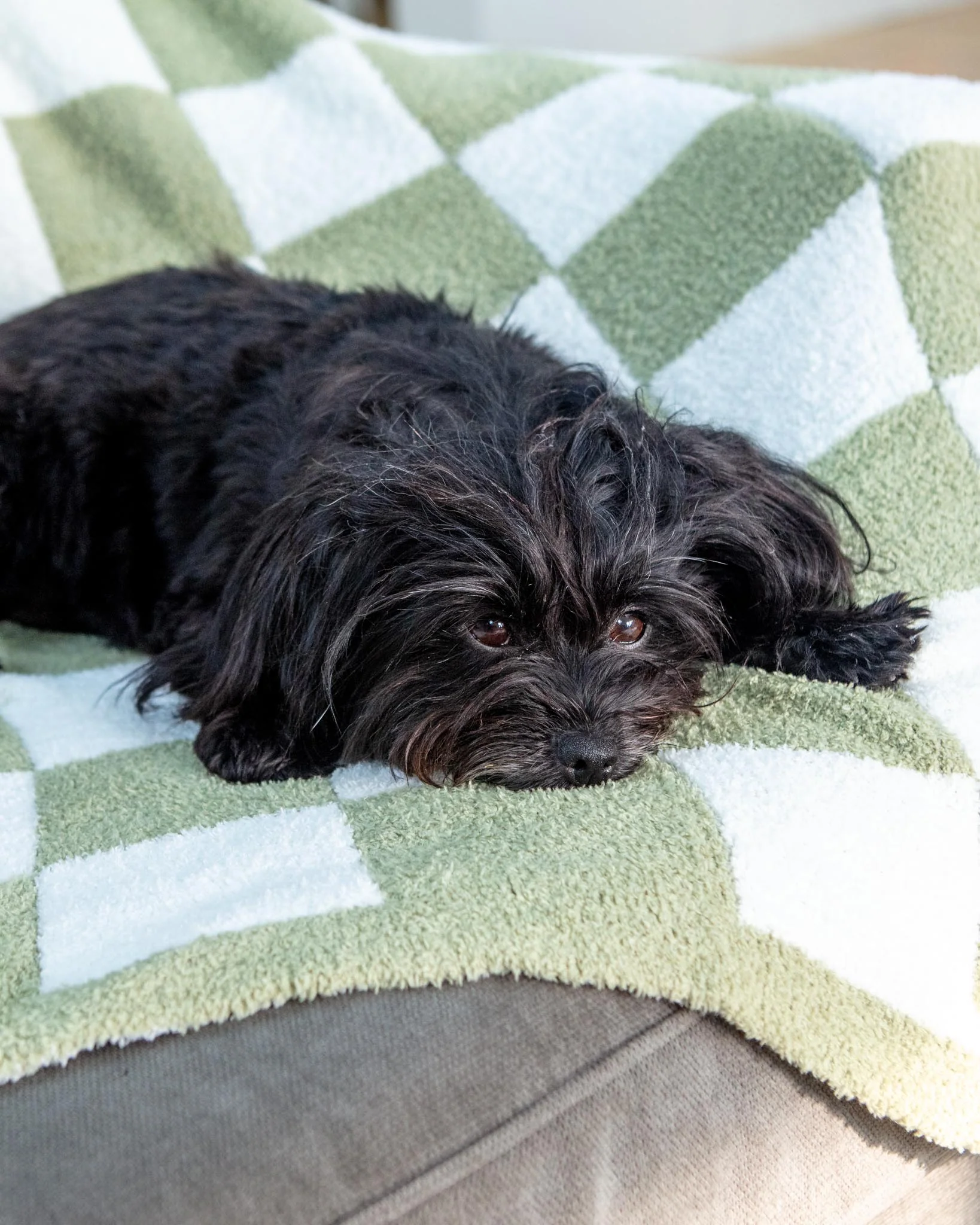 Luxe Check Blanket in Matcha Sage - Image 8