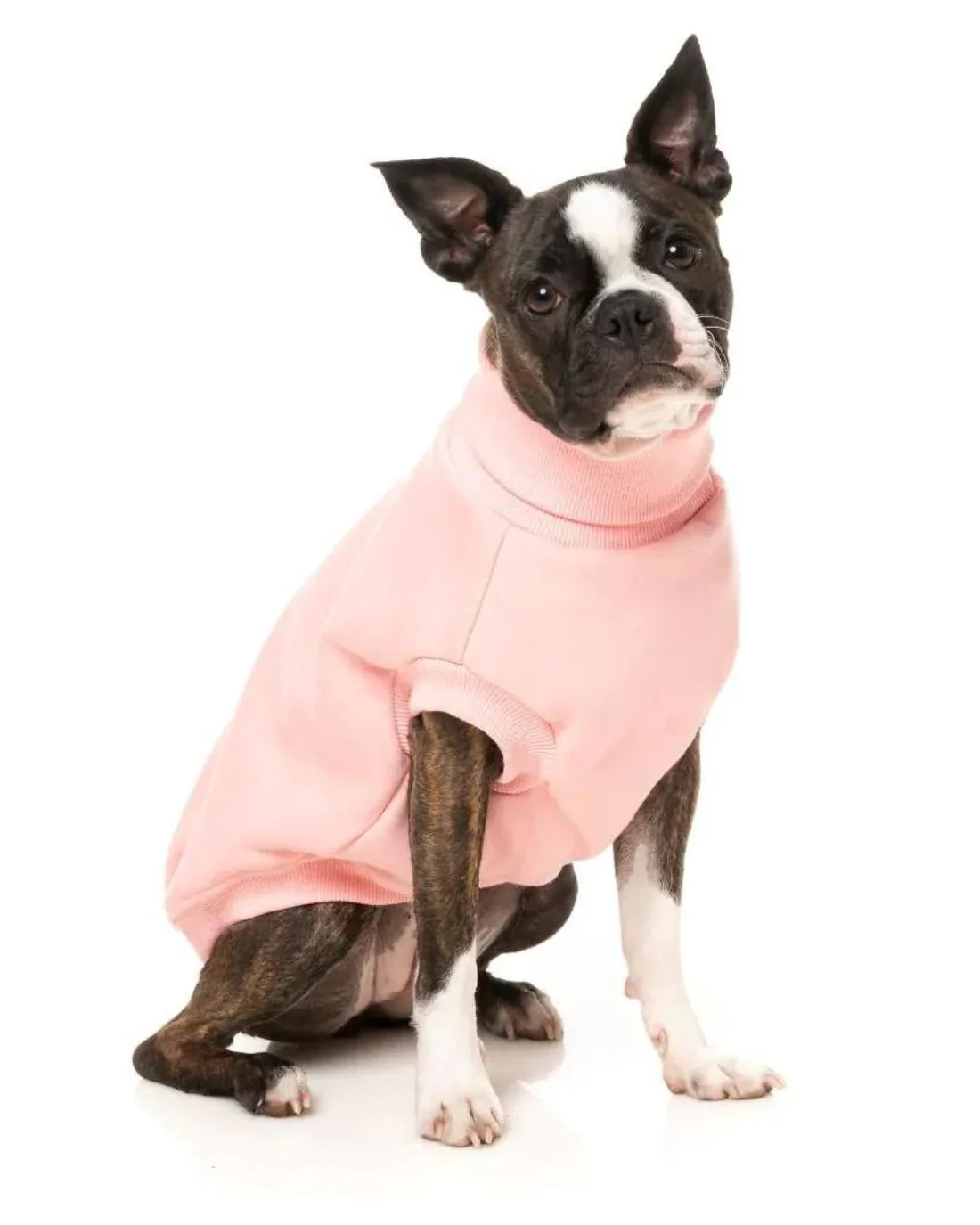 Stevie Dog Turtleneck in Pink (FINAL SALE)