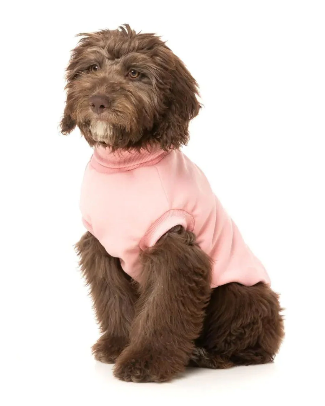 Stevie Dog Turtleneck in Pink (FINAL SALE) - Image 5