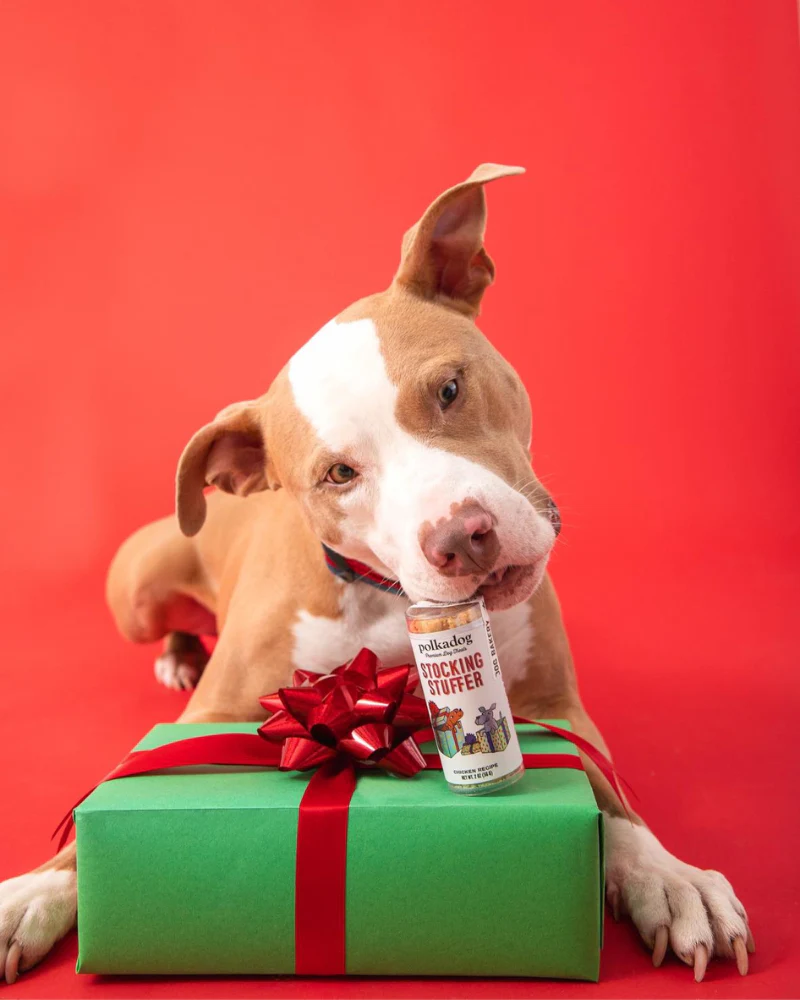 Stocking Stuffer Chicken Little Holiday Dog Treats - Image 2