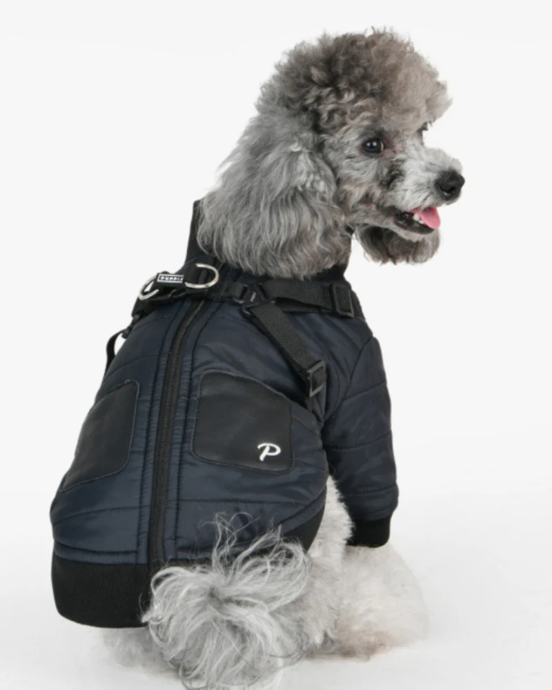 Stratus Dog Harness Coat in Black (FINAL SALE)