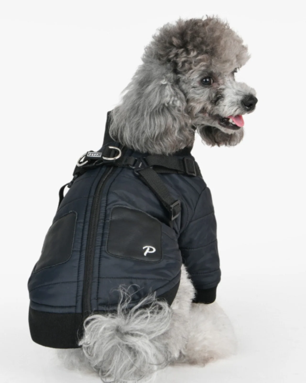 Stratus Dog Harness Coat in Black (FINAL SALE) - Image 5