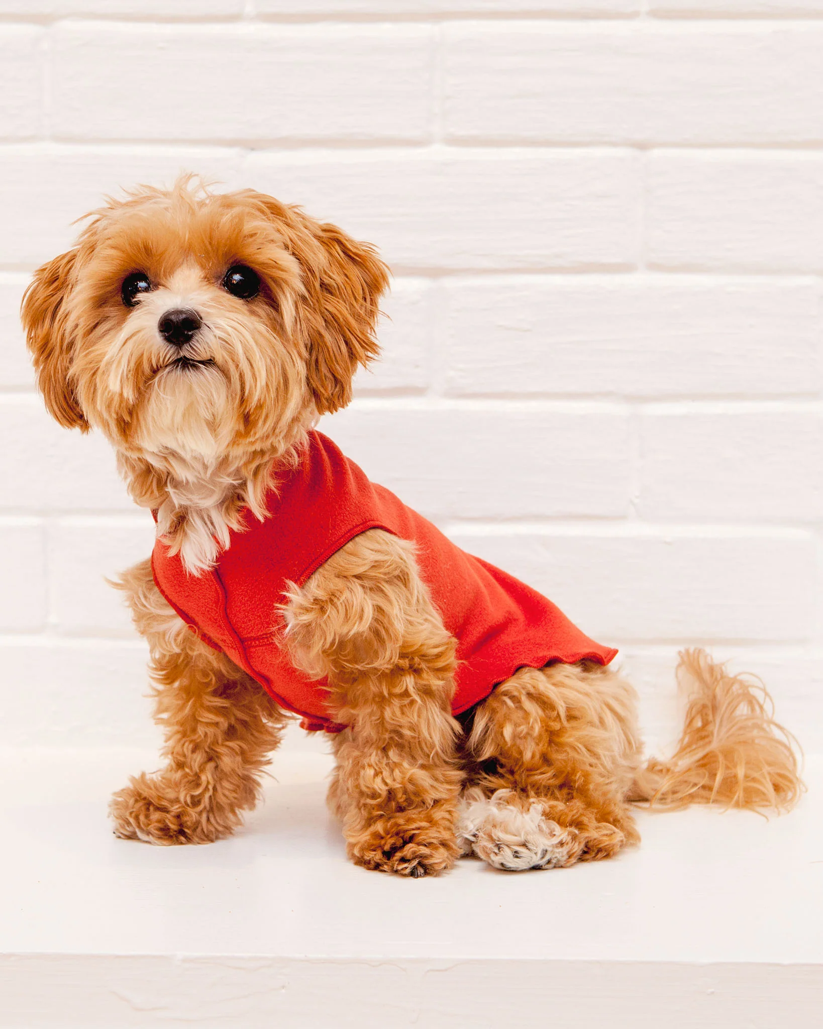 Pullover Stretch Dog Fleece in Paprika