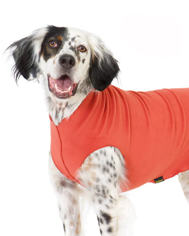 Pullover Stretch Dog Fleece in Paprika - Image 5