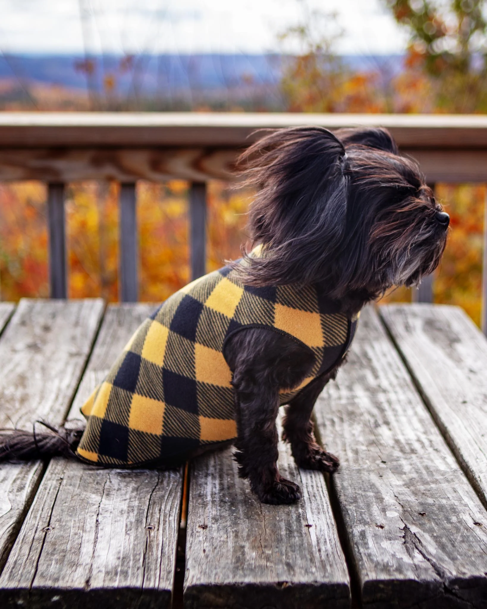 Stretch Fleece Pullover in Yellow Buffalo Plaid (Made in the USA) - Image 4