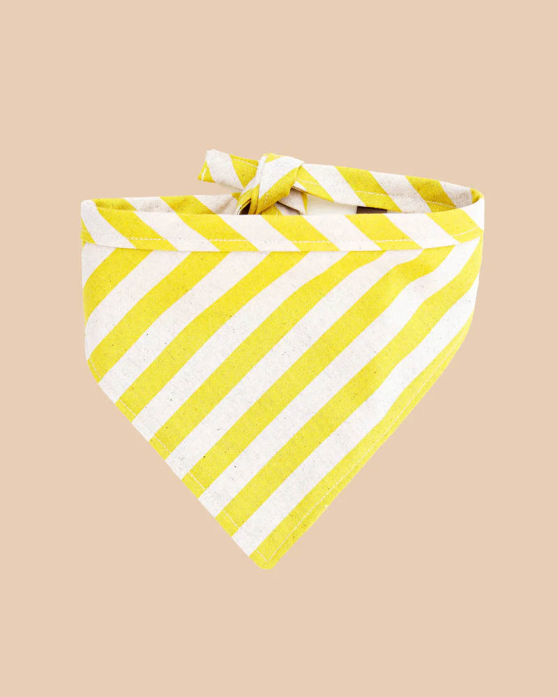 Stripe Canvas Dog Bandana in Yellow (Made in the USA) (FINAL SALE) - Image 3