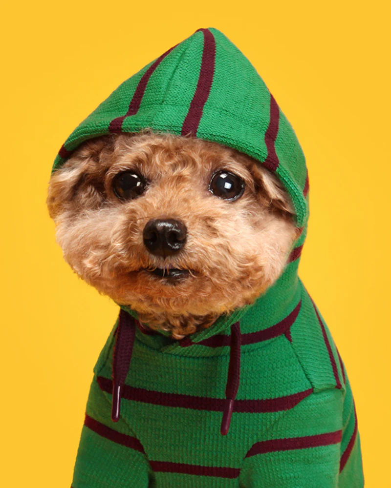 Stripe Dog Hoodie (FINAL SALE) - Image 3