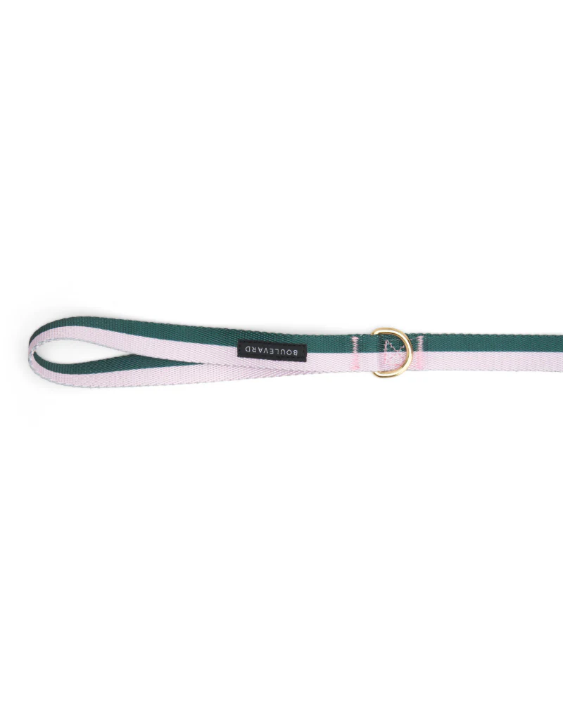 Hunter + Blush Stripe Dog Leash (FINAL SALE) - Image 2