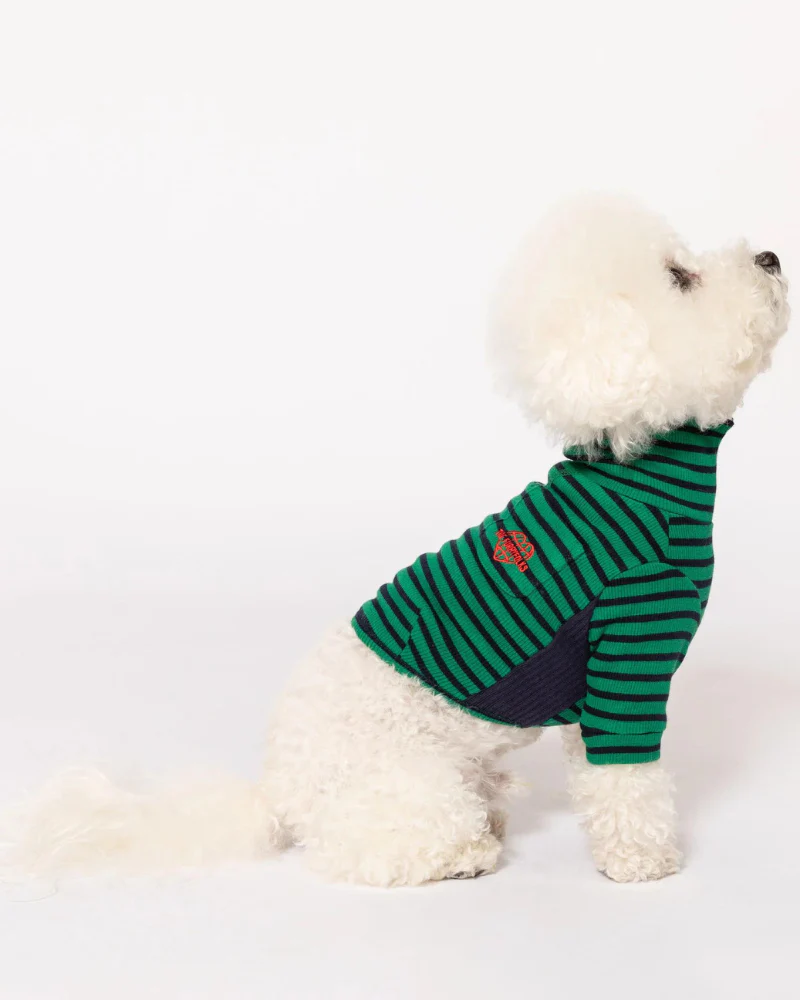 Stripe Dog Tee in Green & Navy (FINAL SALE) - Image 2
