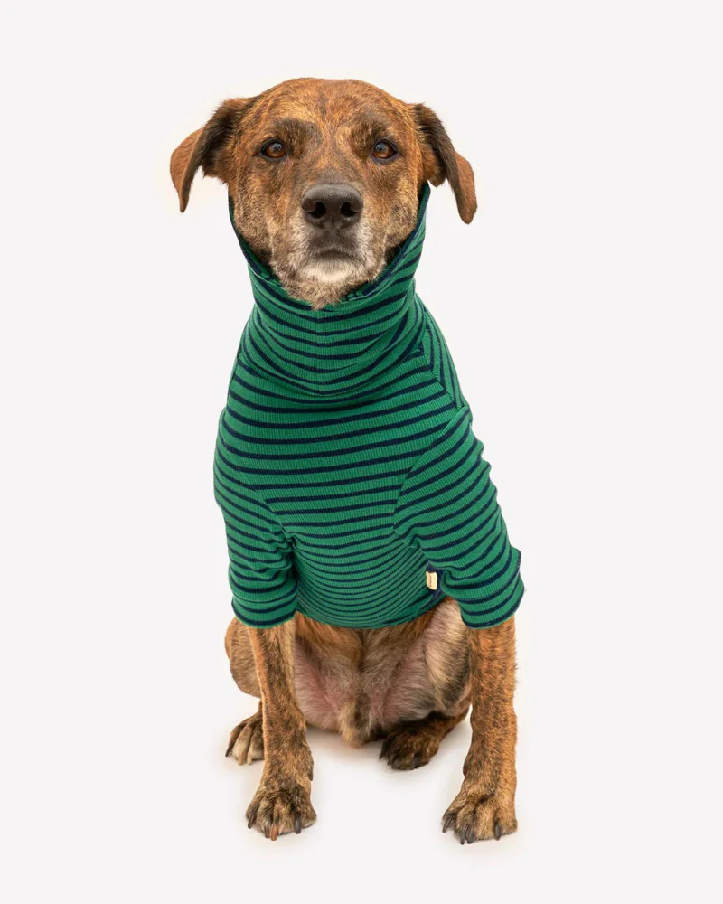 Stripe Dog Tee in Green & Navy (FINAL SALE) - Image 3