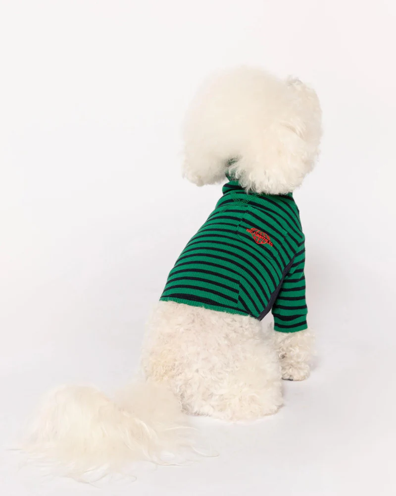 Stripe Dog Tee in Green & Navy (FINAL SALE) - Image 5