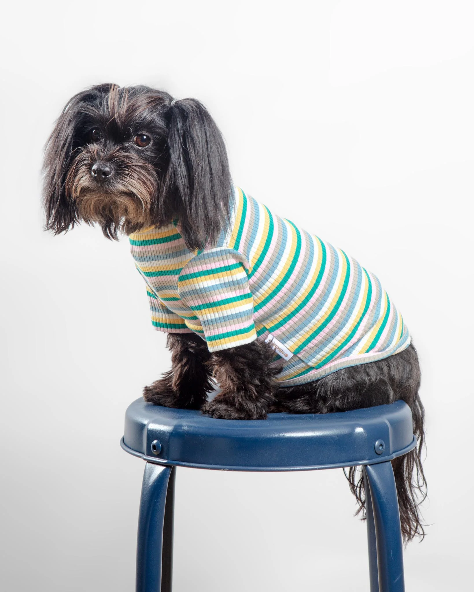 Stripe Ribbed Dog Turtleneck Sweater (FINAL SALE) - Image 2