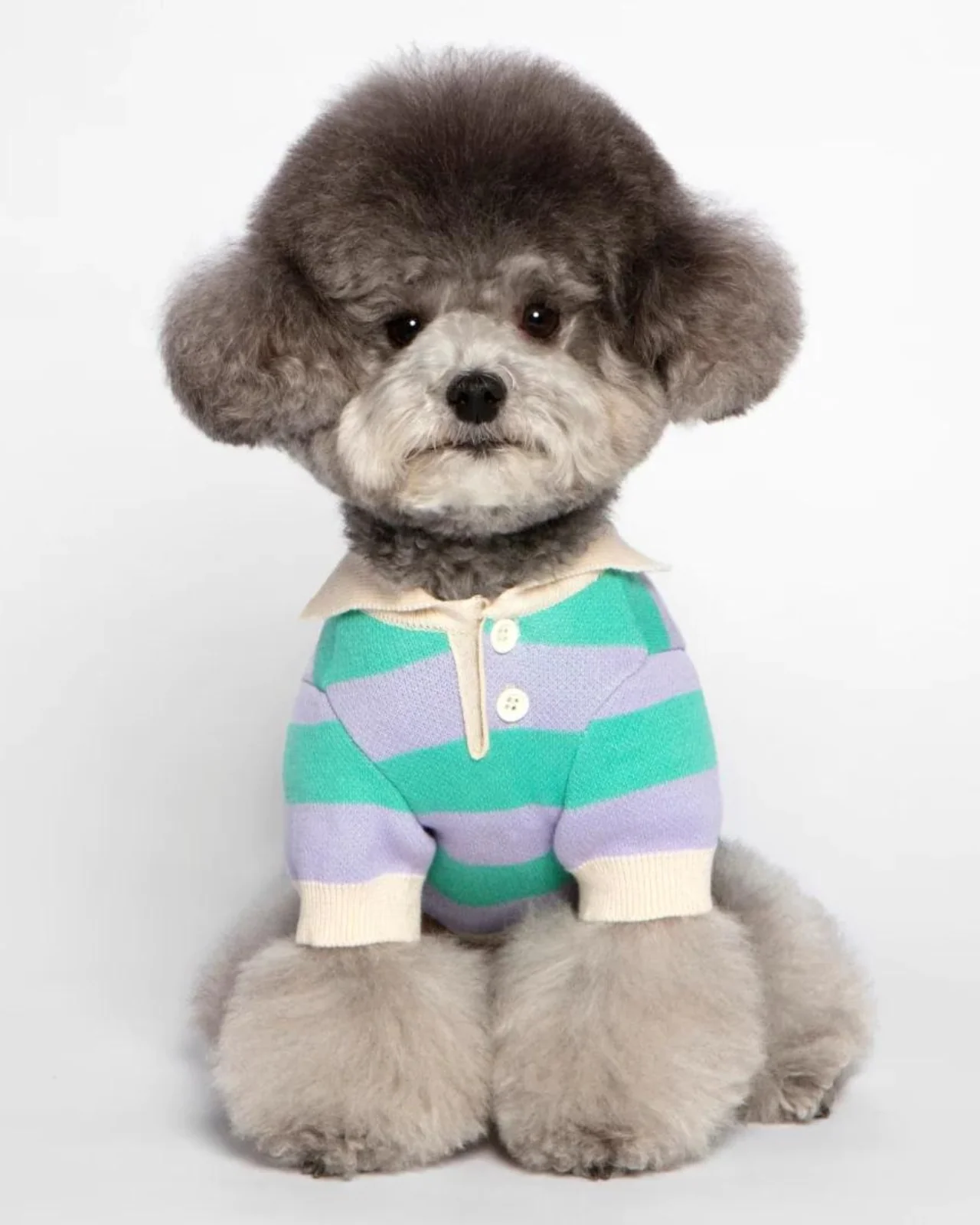 Striped Rugby Knit Dog Sweater (FINAL SALE) - Image 5