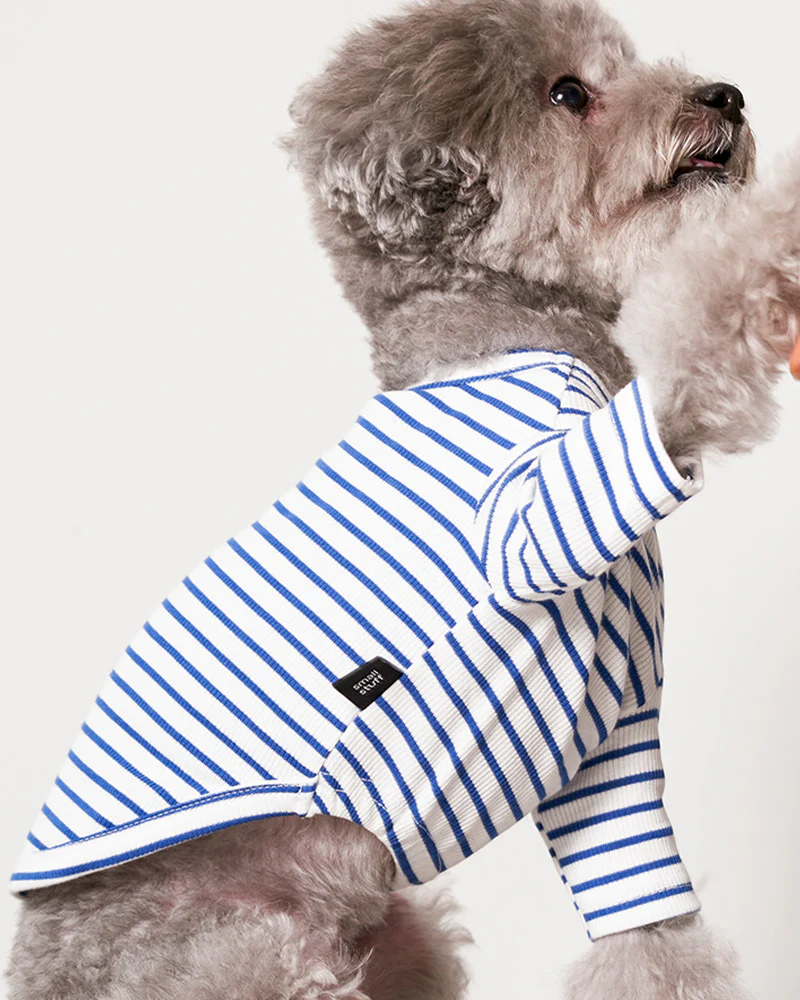 Striped Dog T-Shirt in Blue - Image 2