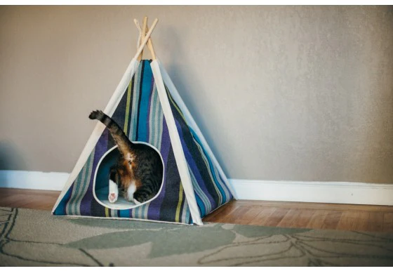Striped TeePee in Lake (Drop-Ship) - Image 4