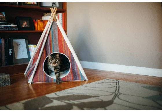 Striped TeePee in Lake (Drop-Ship) - Image 5