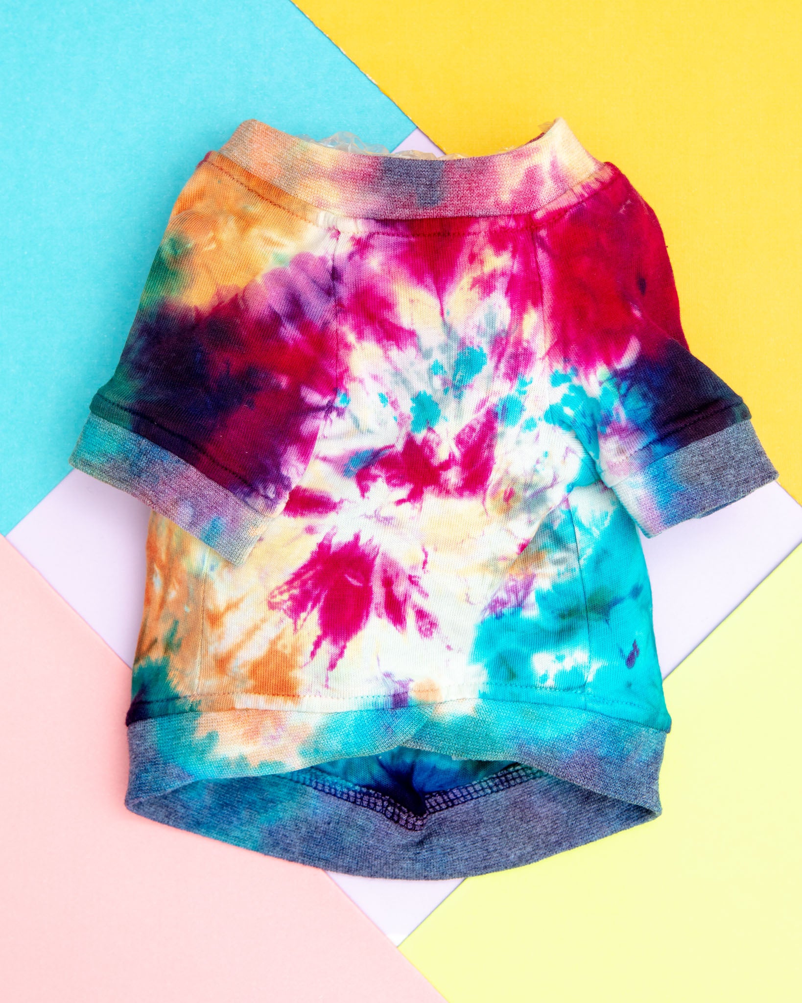 Studio Splatter Dog T-Shirt in Woodstock (CLEARANCE) - Image 2