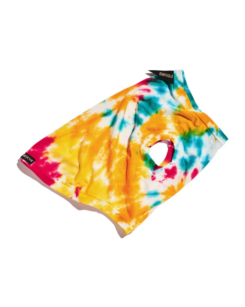 Studio Splatter Dog T-Shirt in Woodstock (CLEARANCE) - Image 3