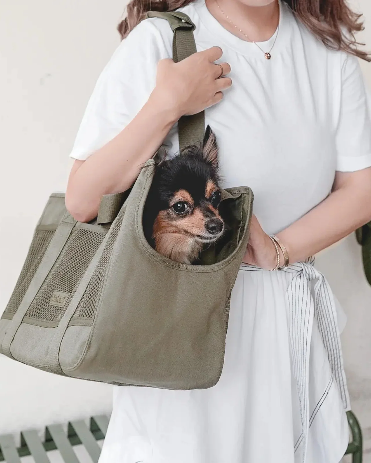 Subway Pet Carrier in Fern