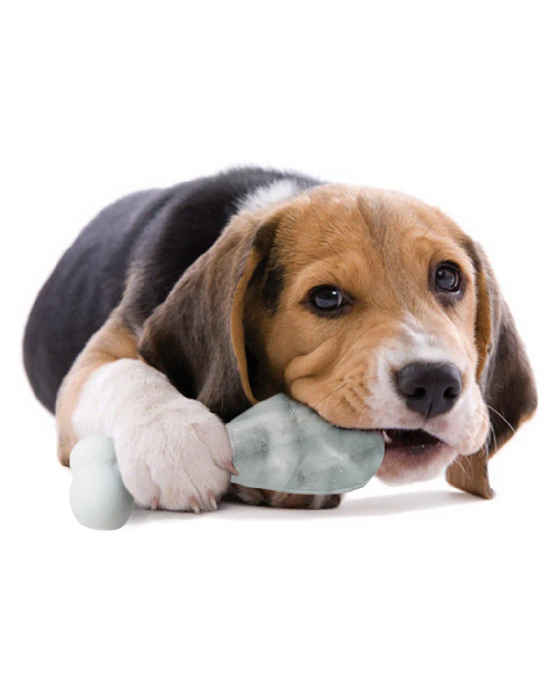 Pupsicle Silicone Frozen Treat Mold - Image 5