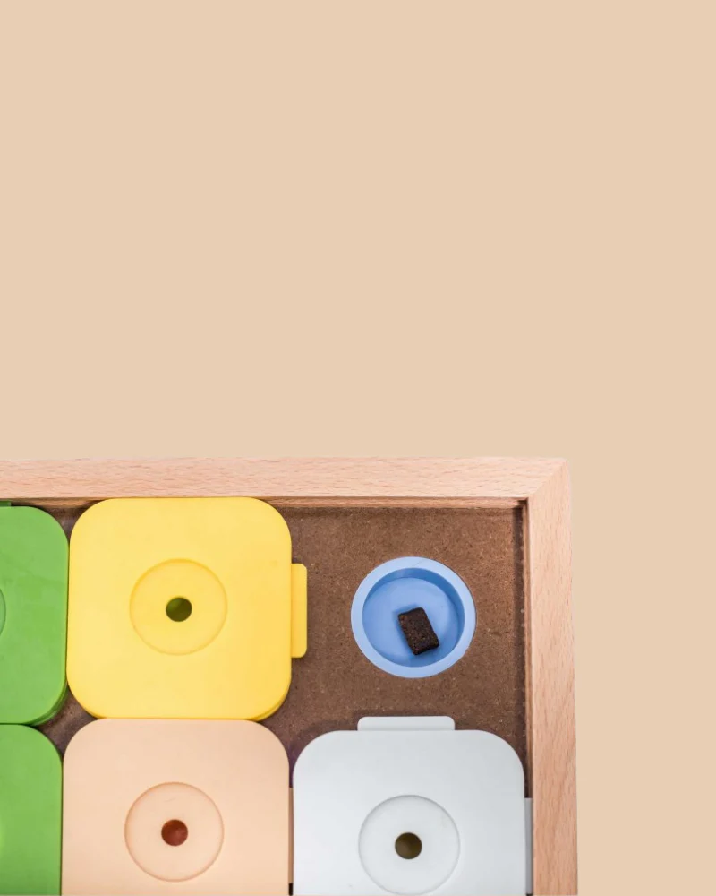 Sudoku Dog Treat Puzzle Game in Rainbow Edition (16 squares) - Image 5