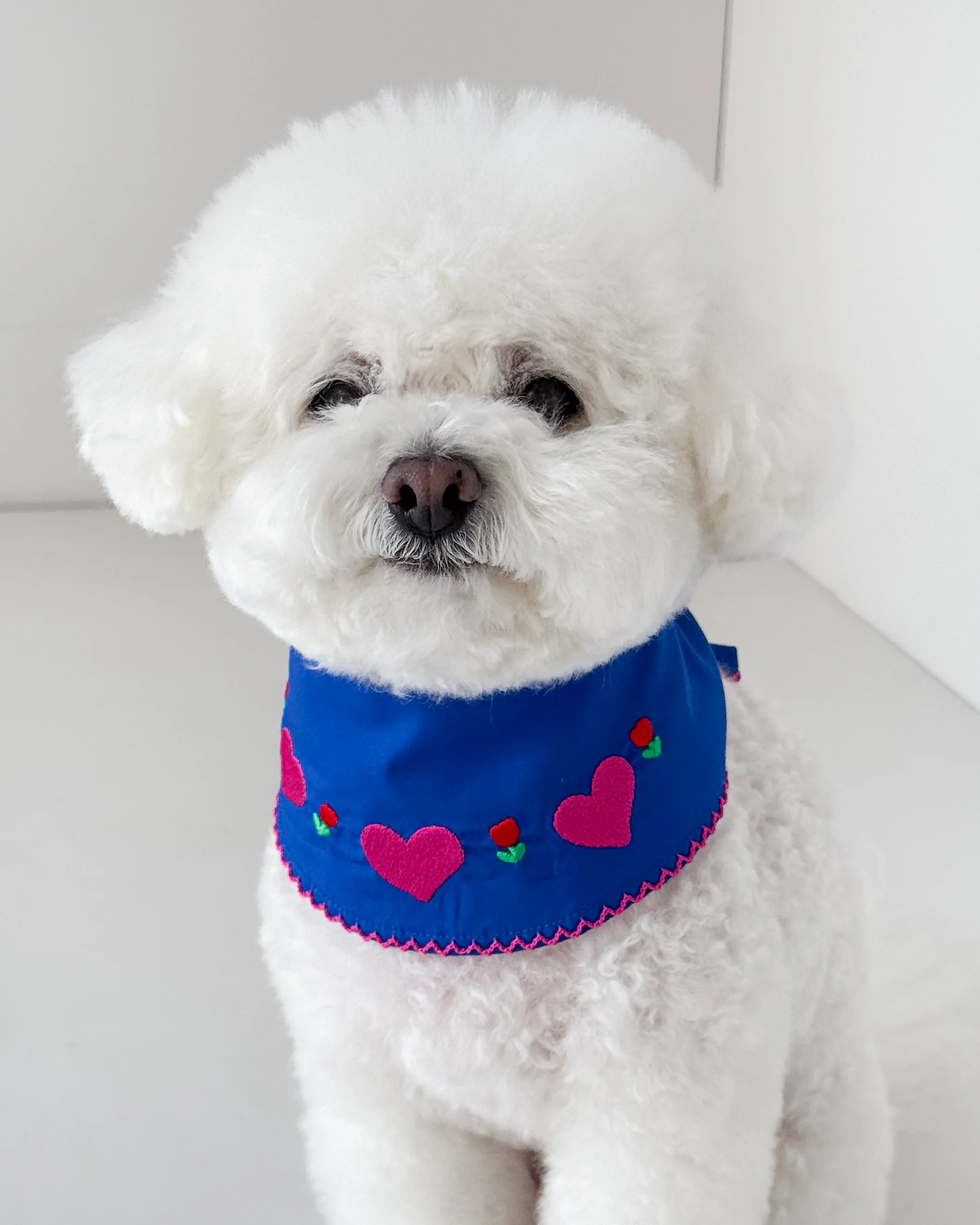 Summer Love Dog Bandana (FINAL SALE)