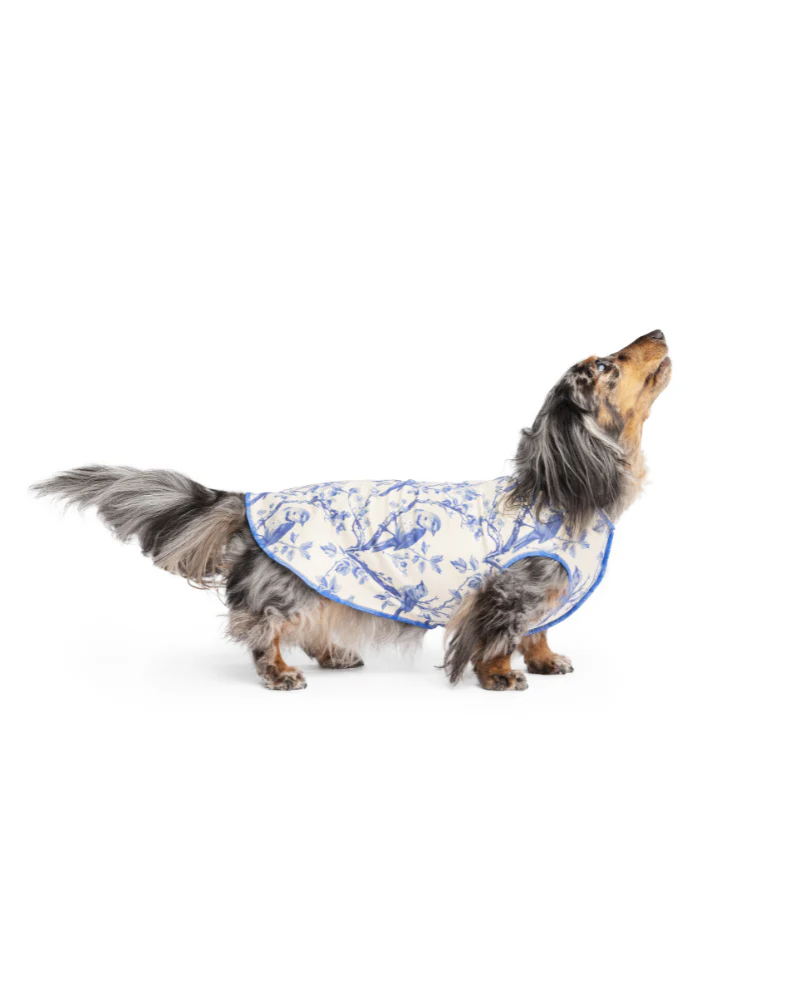 Sun Shield Tee in Blue Bird Toile