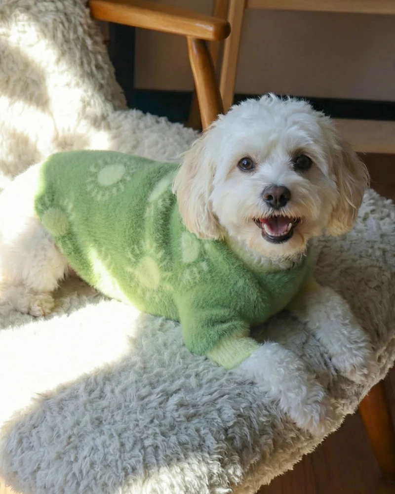 Sunny Day Soft Cloud Dog Sweater (FINAL SALE) - Image 3