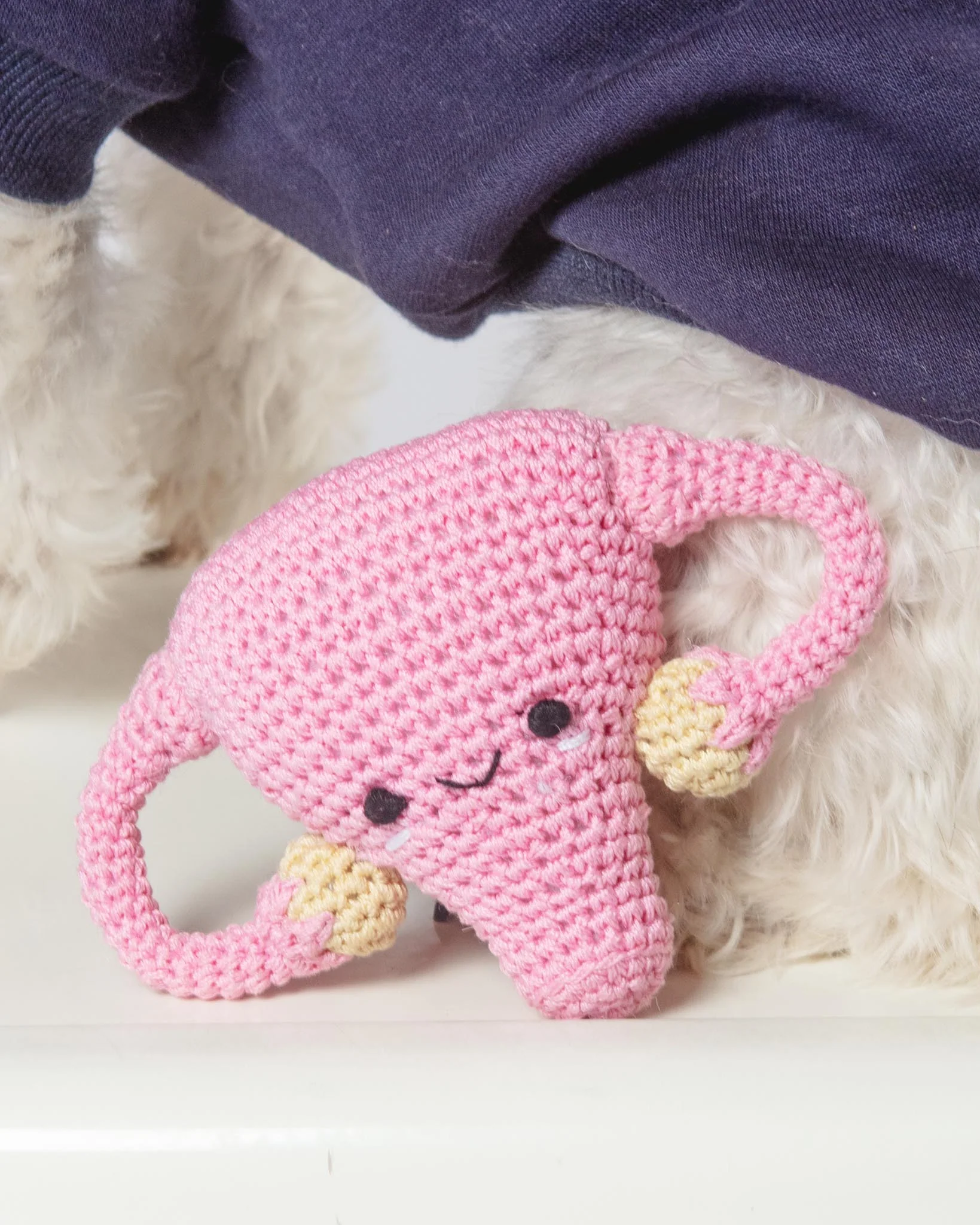 Super Uterus Knit Dog Toy (Proceeds Benefit the ACLU)