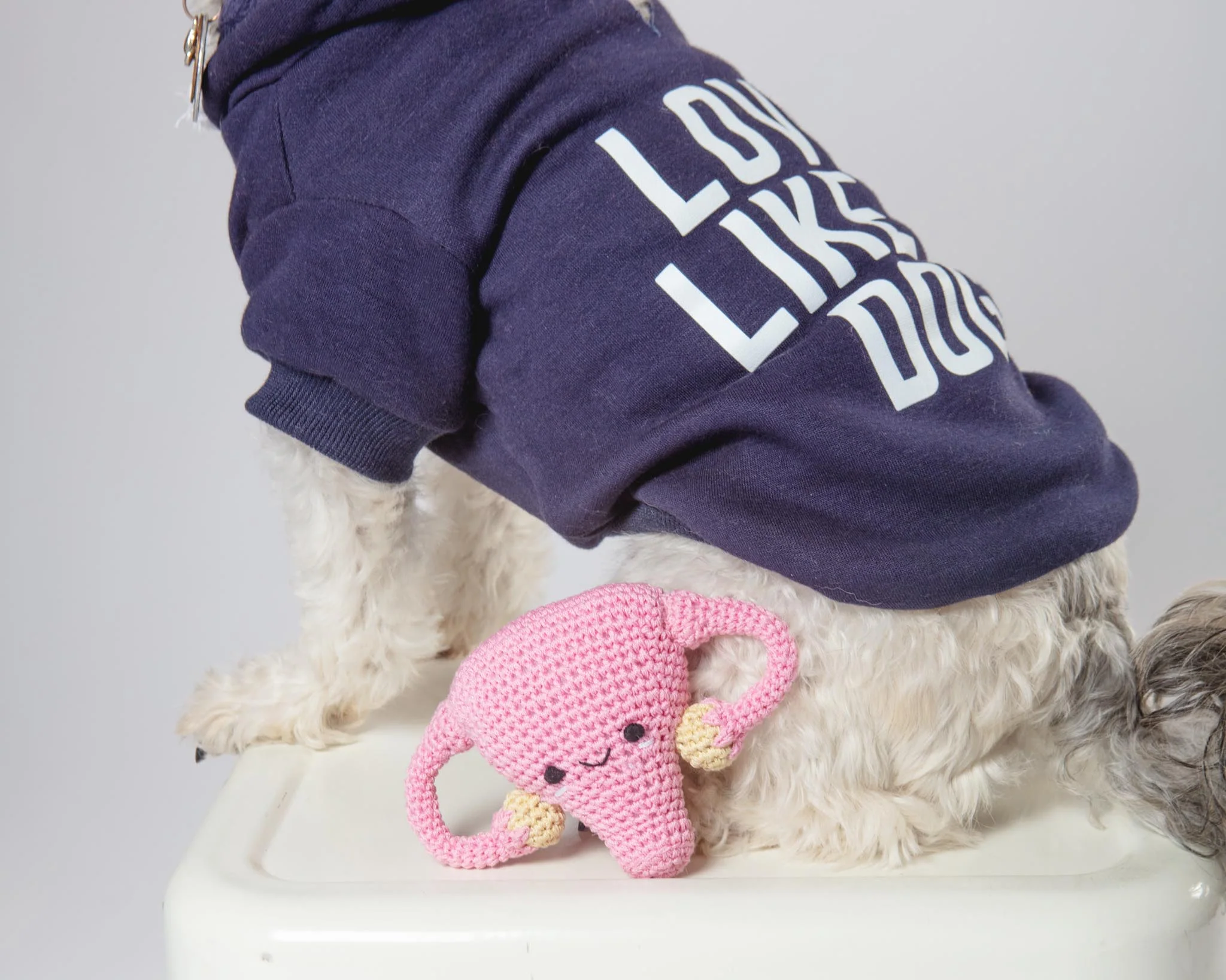 Super Uterus Knit Dog Toy (Proceeds Benefit the ACLU) - Image 4