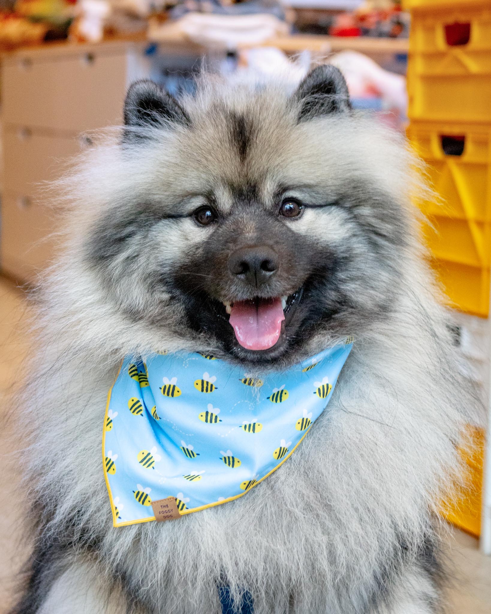 Sweet As Can Bee Dog Bandana