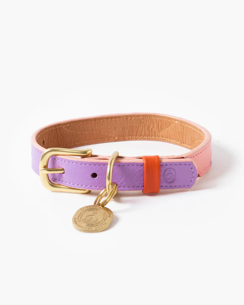 Sweet Leather Dog Collar (Made in Guatemala) (FINAL SALE) - Image 4