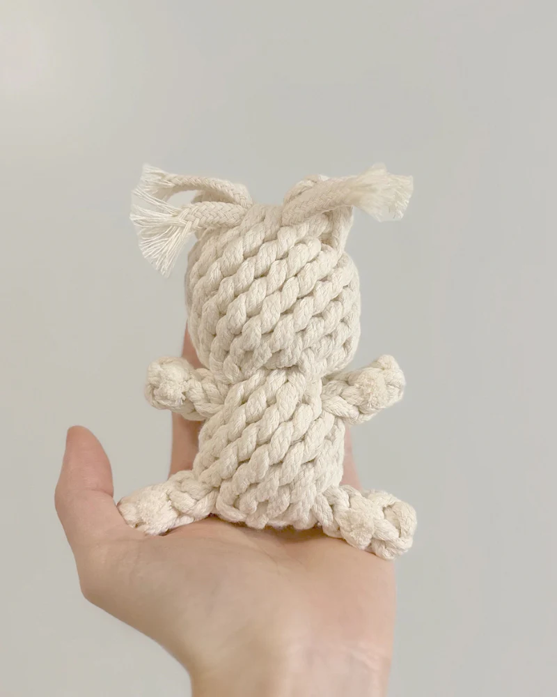Sweetheart Bear Rope Dog Toy