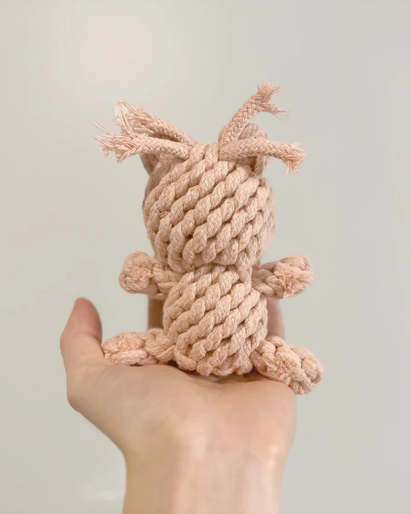 Sweetheart Bear Rope Dog Toy - Image 4