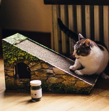 TABBY JAMES | Catnip Fine Cut - Image 3