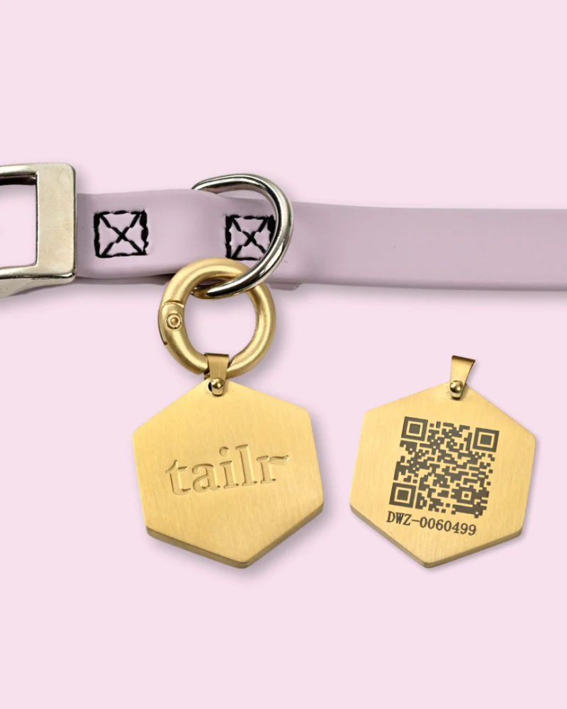 Tailr QR ID Tag for Pets (Classic Hanging Tag) (FINAL SALE)