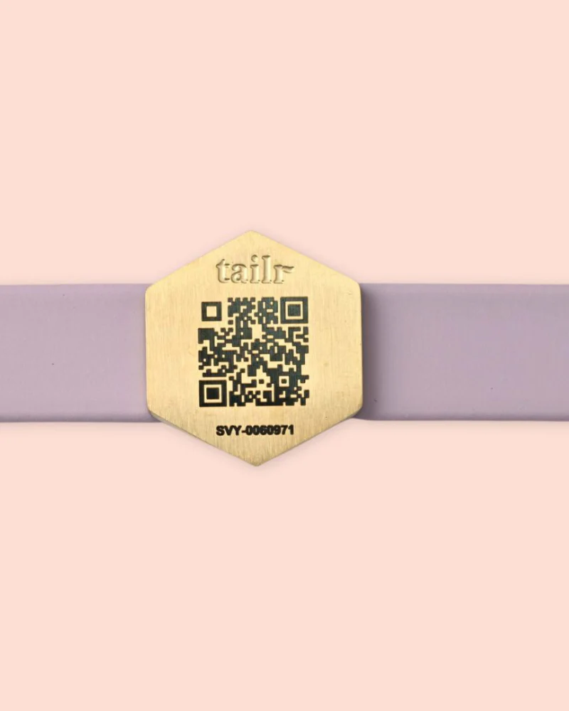 Tailr QR ID Tag for Pets (Slide Tag) - Image 3