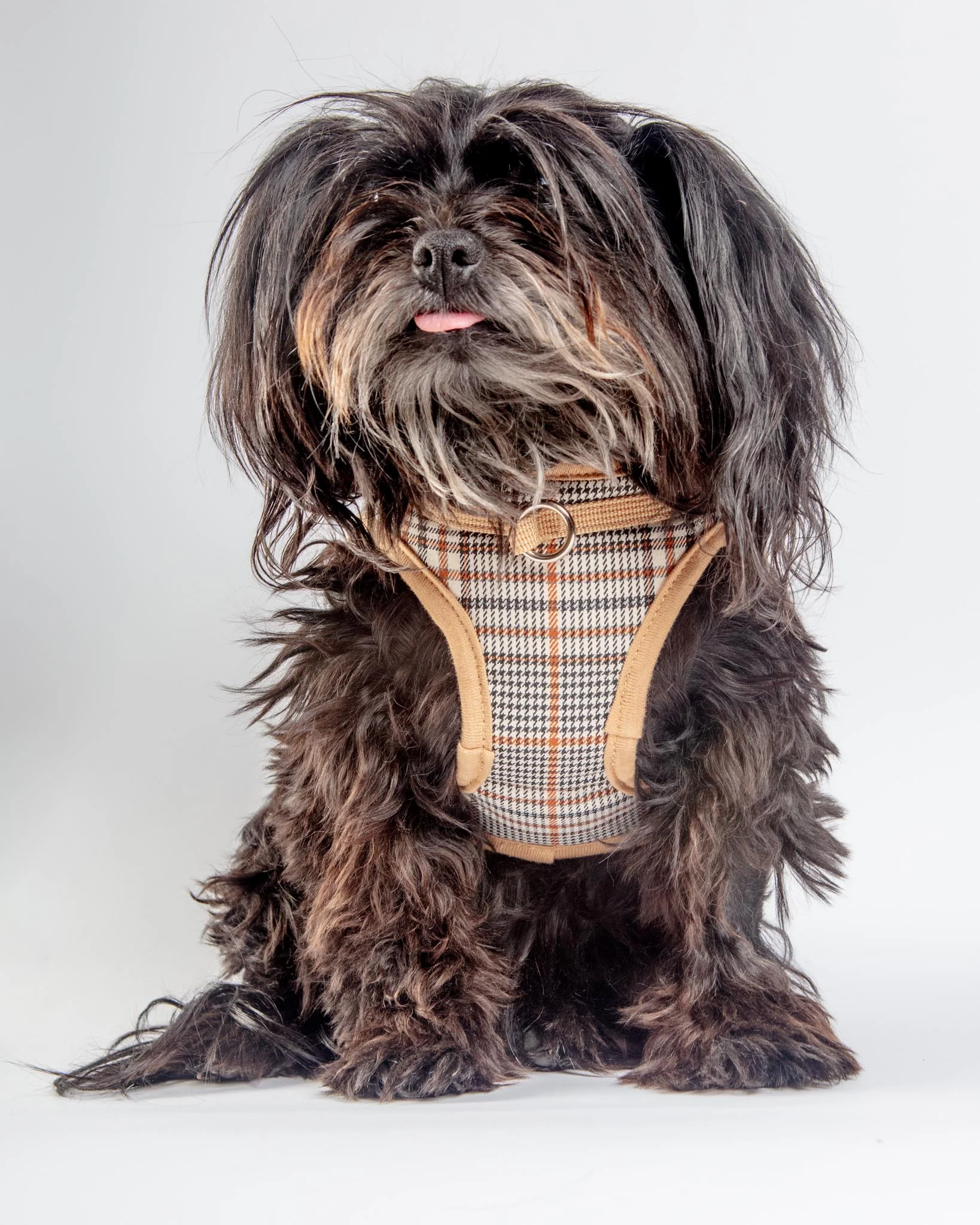 Tan Tartan Plaid Step-in Dog Harness