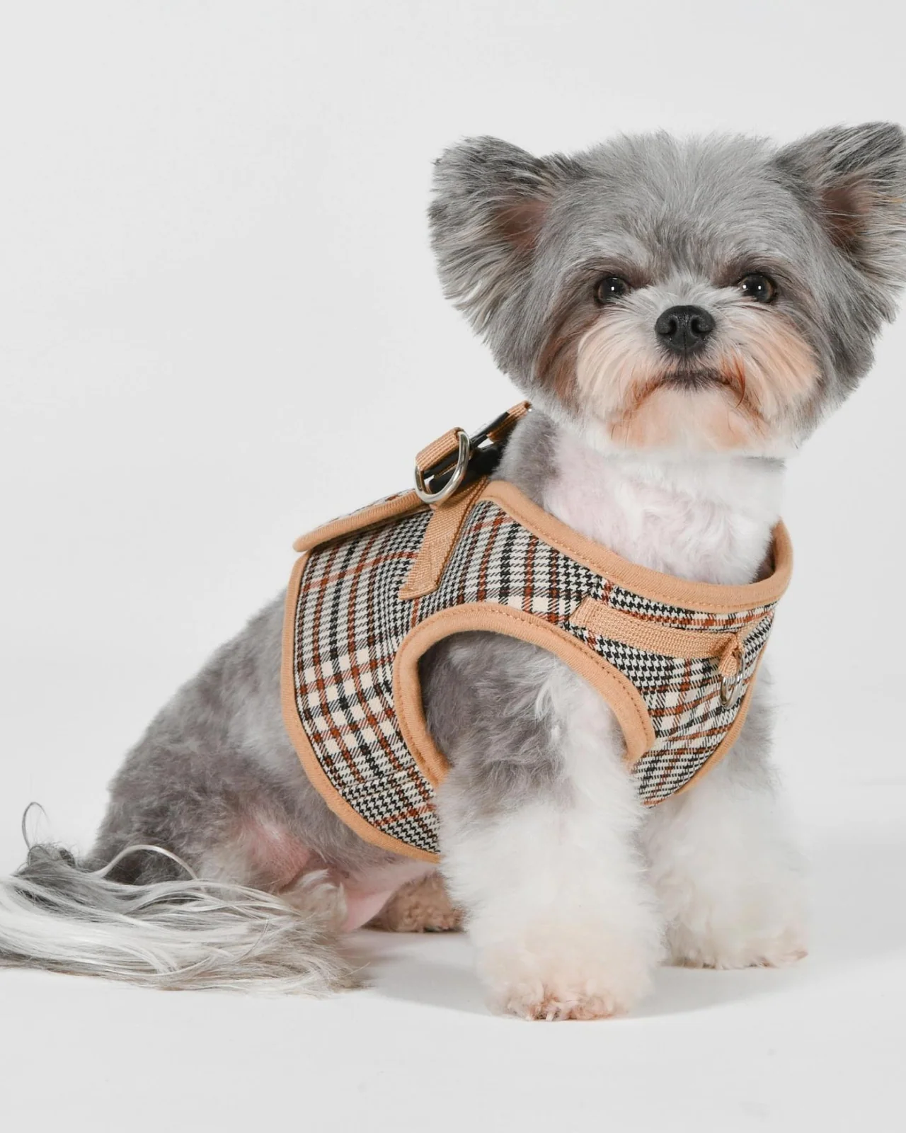 Tan Tartan Plaid Step-in Dog Harness - Image 6