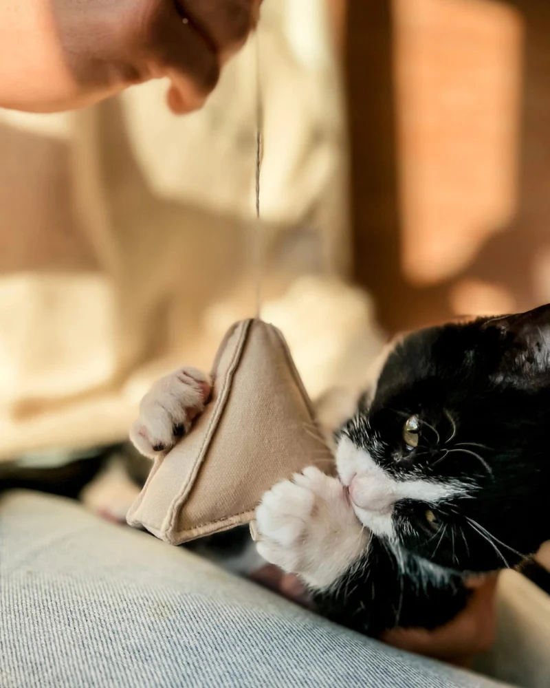 Tea Time Catnip Toy - Image 3