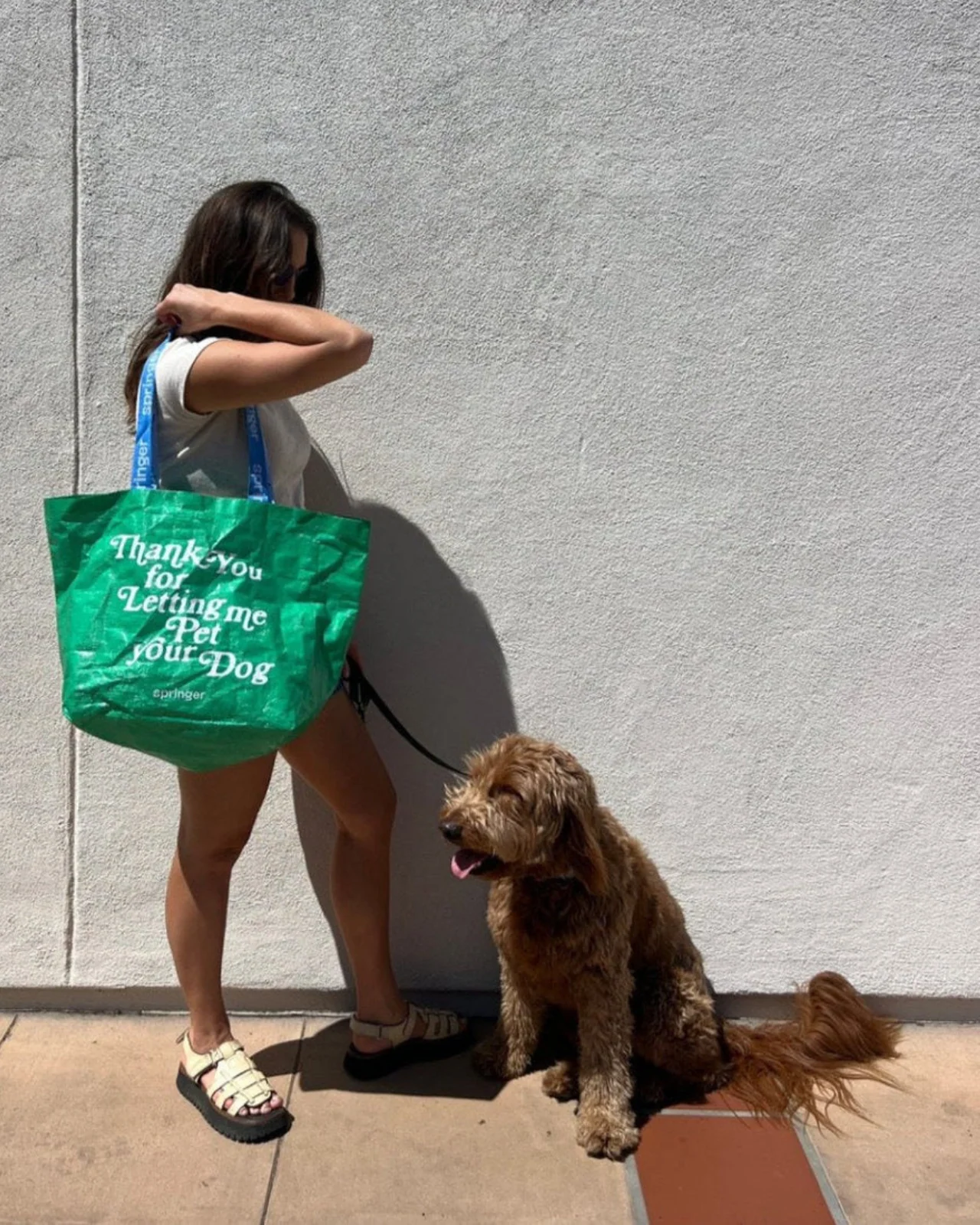 Thank You For Letting Me Pet Your Dog Tote - Image 3